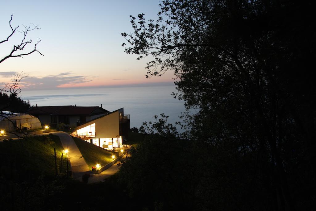 Agroturismo Haitzalde B&B - Adults Only موتريكو المظهر الخارجي الصورة