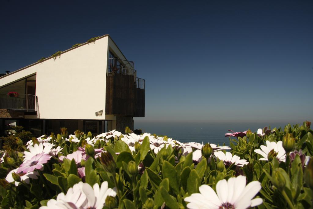 Agroturismo Haitzalde B&B - Adults Only موتريكو المظهر الخارجي الصورة